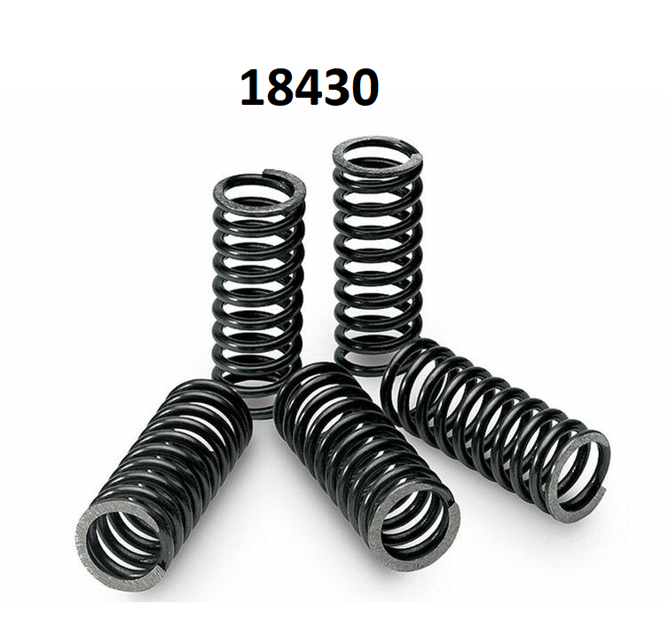 KIT MOLAS DE EMBRAIAGEM TECNIUM 18430 XT350