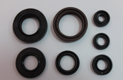 KIT VEDANTES MOTOR YFS200 BLASTER