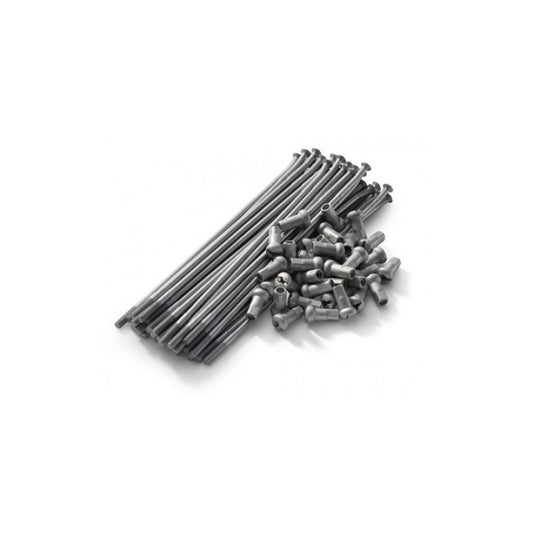 KIT RAIOS DTR 125 REPLICA ORIGEM (185/235 X 3,5 MM 90º)