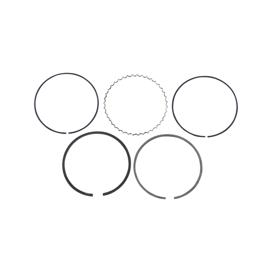 KIT SEGMENTOS WOSSNER XT350