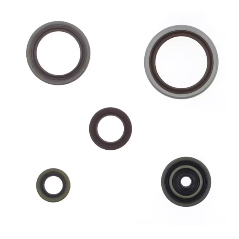 VEDANTES DE MOTOR BETA RR 250 / 300 13-25