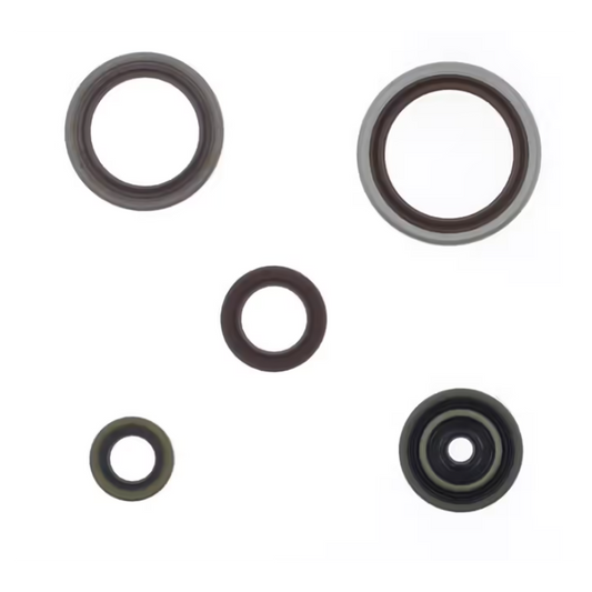 VEDANTES DE MOTOR BETA RR 250 / 300 13-25